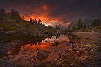 Zayden Lake